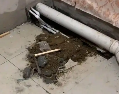 宝鸡卫生间漏水检测哪家好